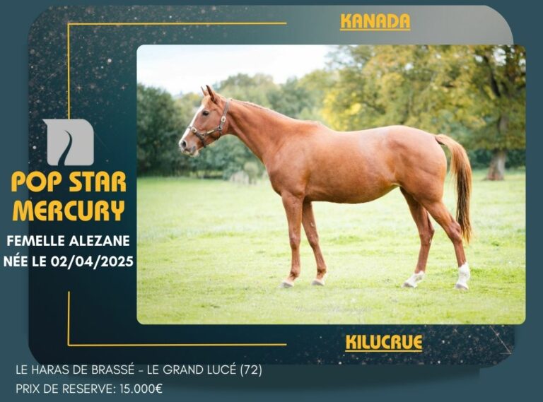 POP STAR MERCURY (1)