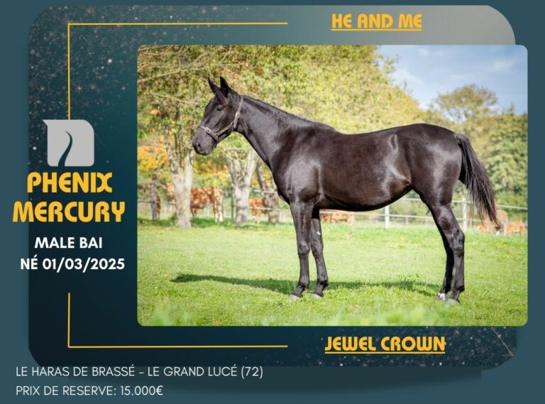 Présentation Yearling